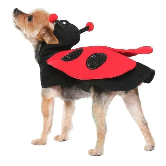 NEW Ladybug Costume 1-Pc Pet Size XS Cat Dog (5-10 lbs) Halloween Vibrant Life - Picture 1 of 9